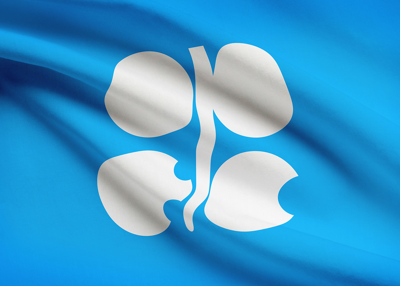 No Changes Planned at OPEC Meeting
